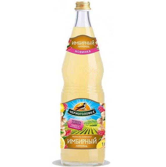 Chernogolovka Carbonated Drink Ginger 0.5L - Aqualife, Russia