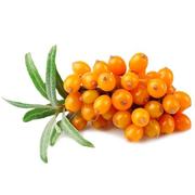 Yummy European Wild Sea Buckthorn Berries Oblepiha Frozen 1kg