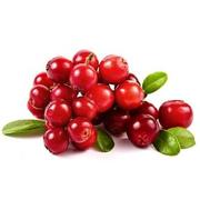 Yummy European Wild Lingonberries Brusnika Frozen 1kg