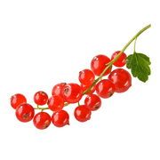 Yummy European Red Currants Frozen 1kg