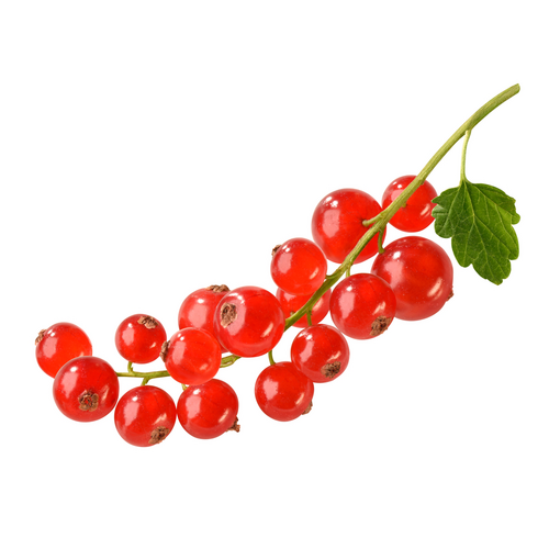 Yummy European Red Currants Frozen 1kg